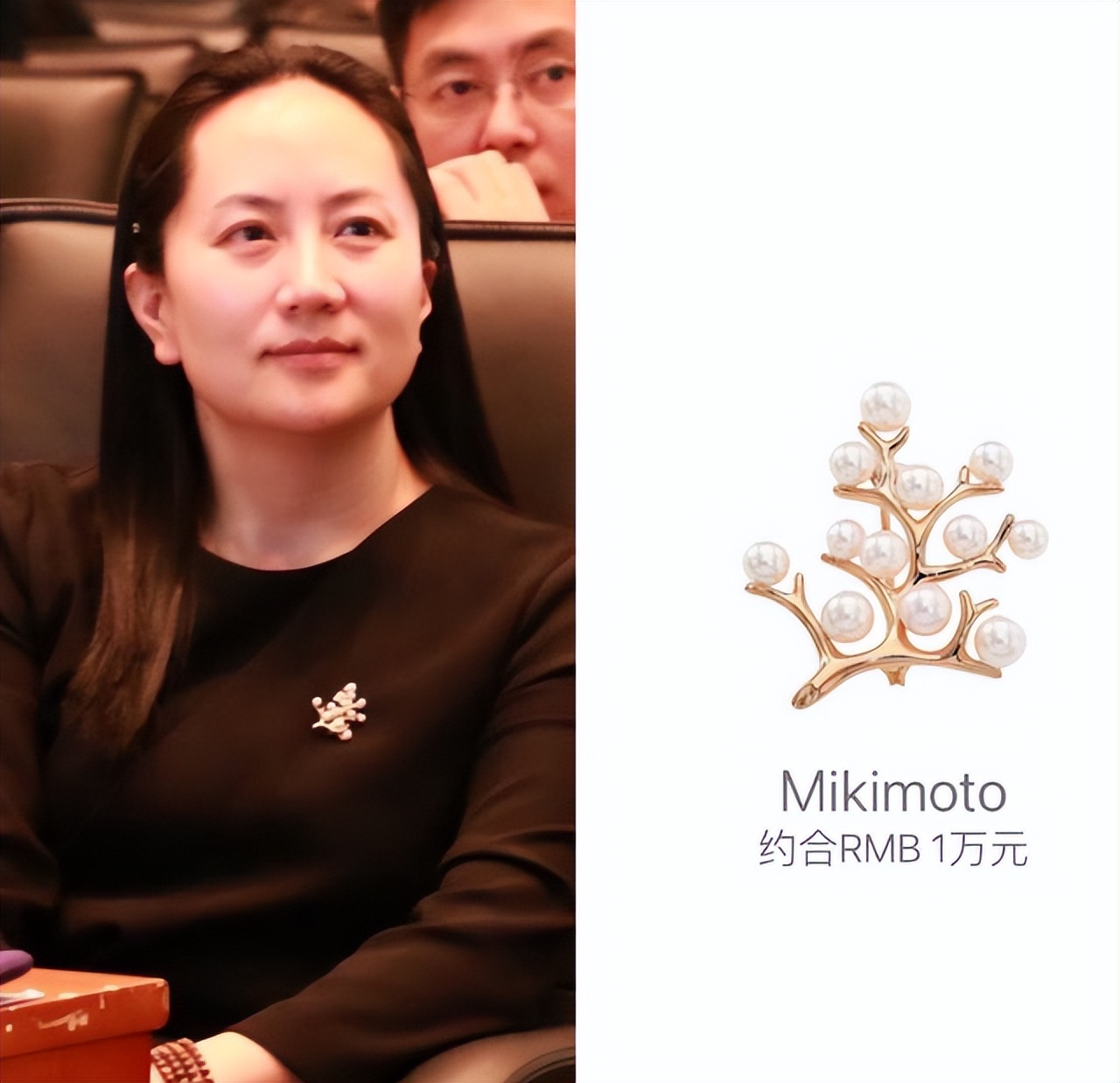 孟晚舟蝴蝶胸针价值,孟晚舟同款蝴蝶胸针有什么意义