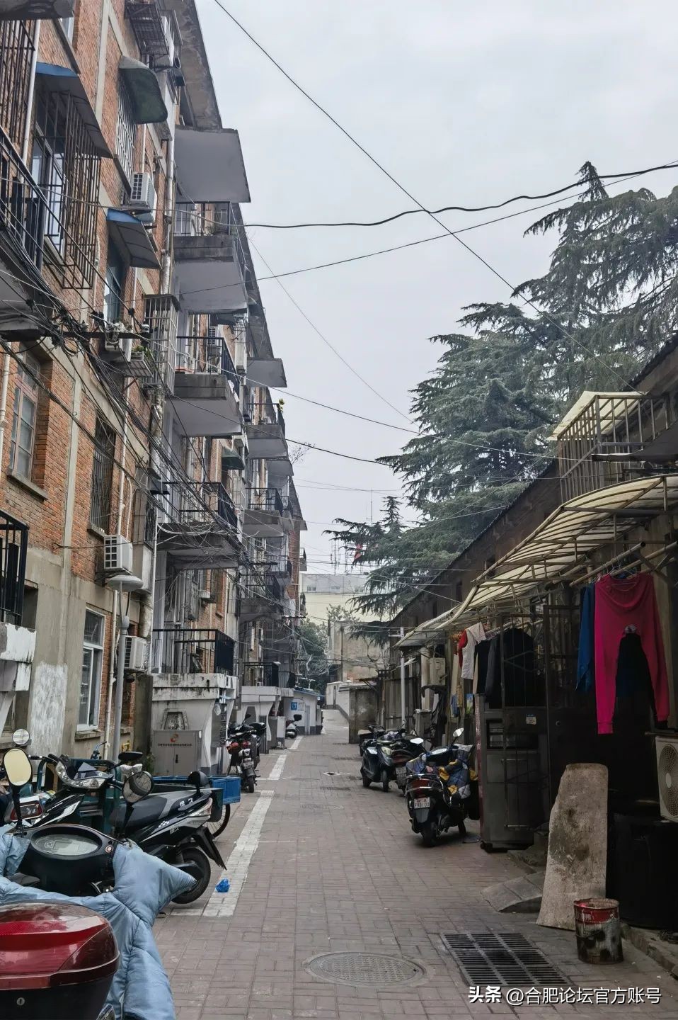 合肥杏花菜市场老样子,合肥杏花菜市