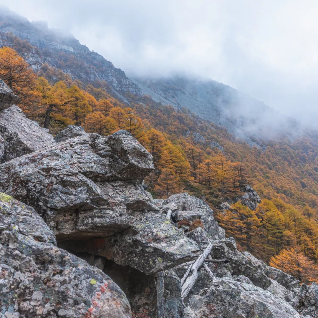太白山是陕西最高点吗,秦岭最高峰太白山