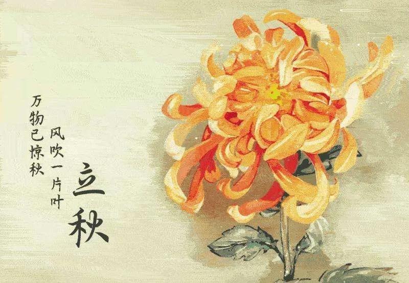 鹧鸪天四首歌,鹧鸪天十四首菊韵