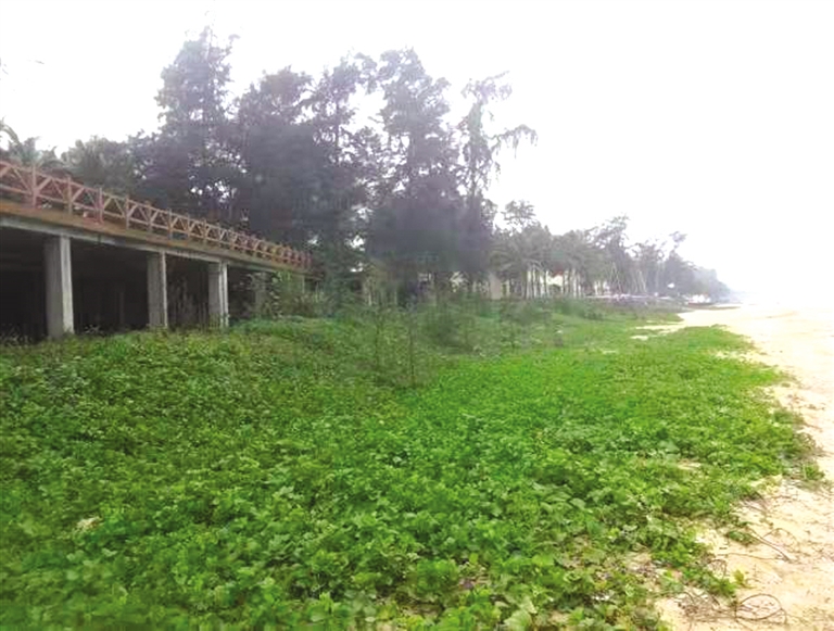 男子:投入3000多万元在海口西秀海滩租场地经营俱乐部,突然被解除合同!出租方回应→