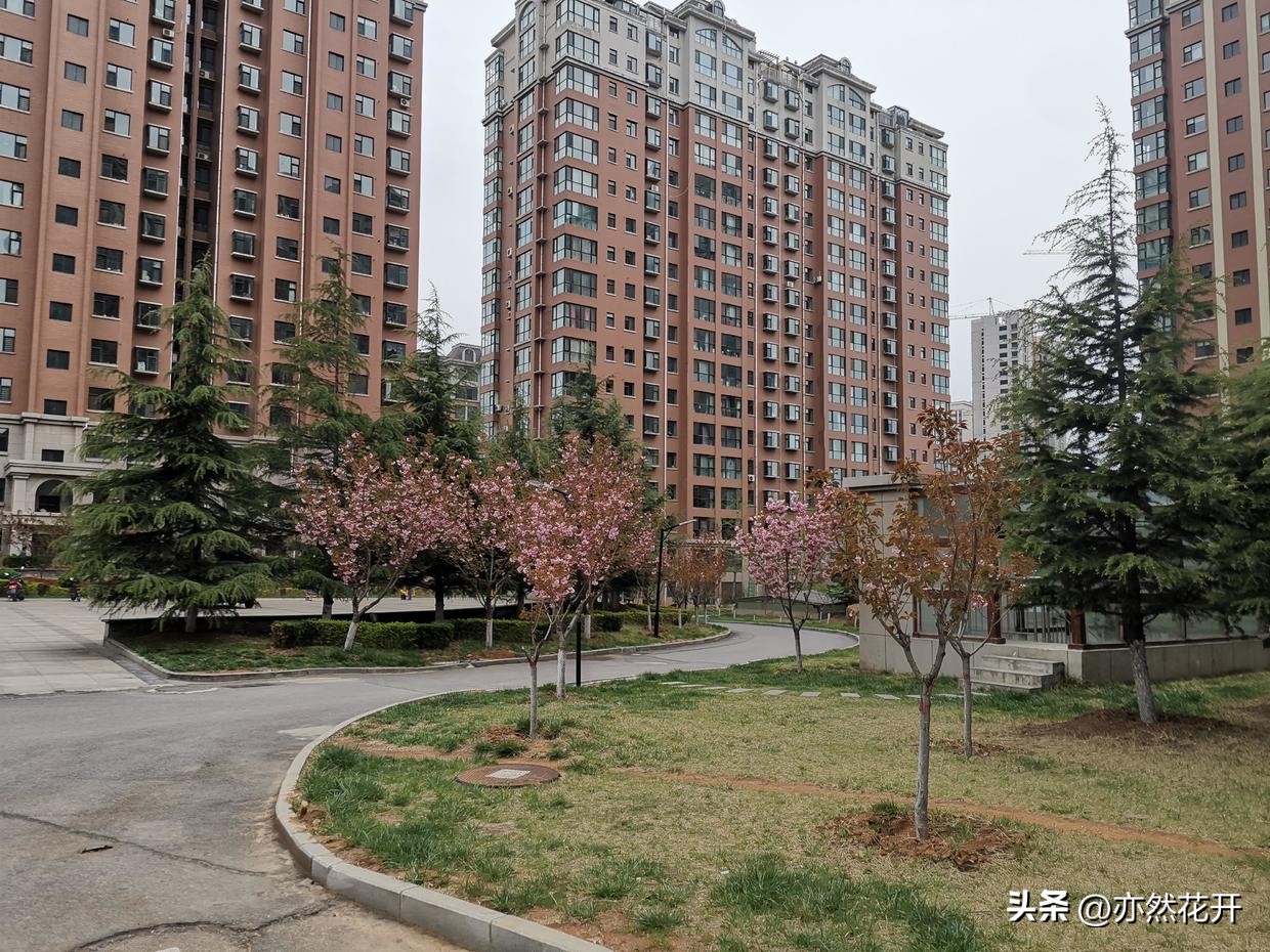 职场公文写作必备技巧,申请书和请示的区别有哪些