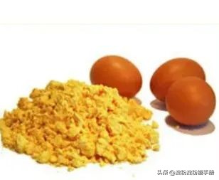 酶制剂在食品工艺中的应用,酶在食品上的应用