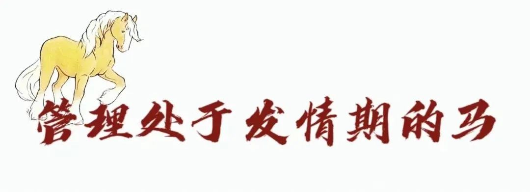 如何分辨马儿是否怀孕,马儿有没有怀孕怎么辨别