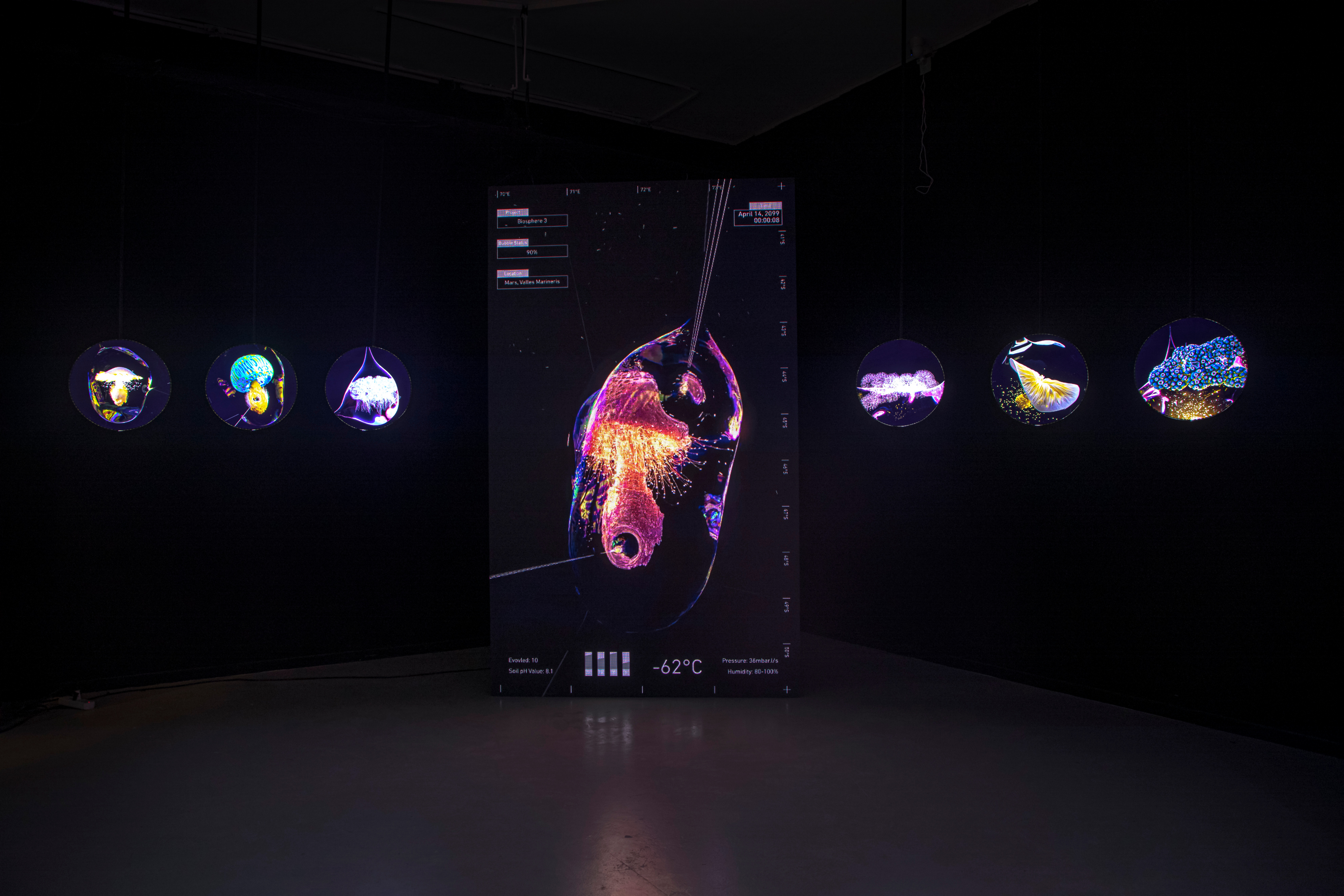 “共同的演化”——开启置身于AI时代的生命想象