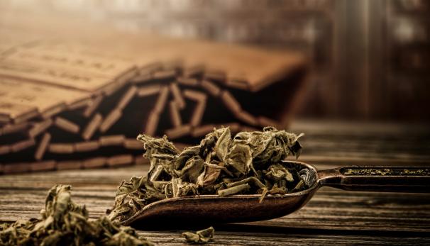 艾草可以防新冠吗,艾草能熏死新冠病毒吗