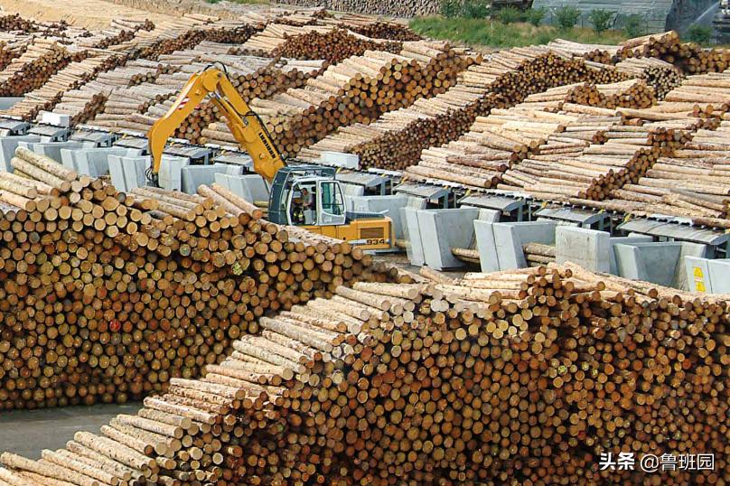进口板最大优势是饰面吗,国内高端饰面板