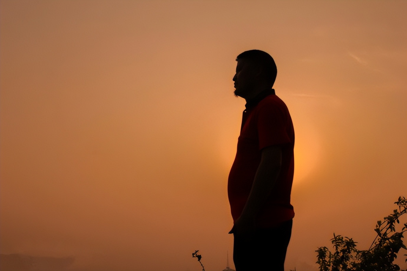 年薪50万却因高铁60元盒饭崩溃,年薪50万高铁60元盒饭