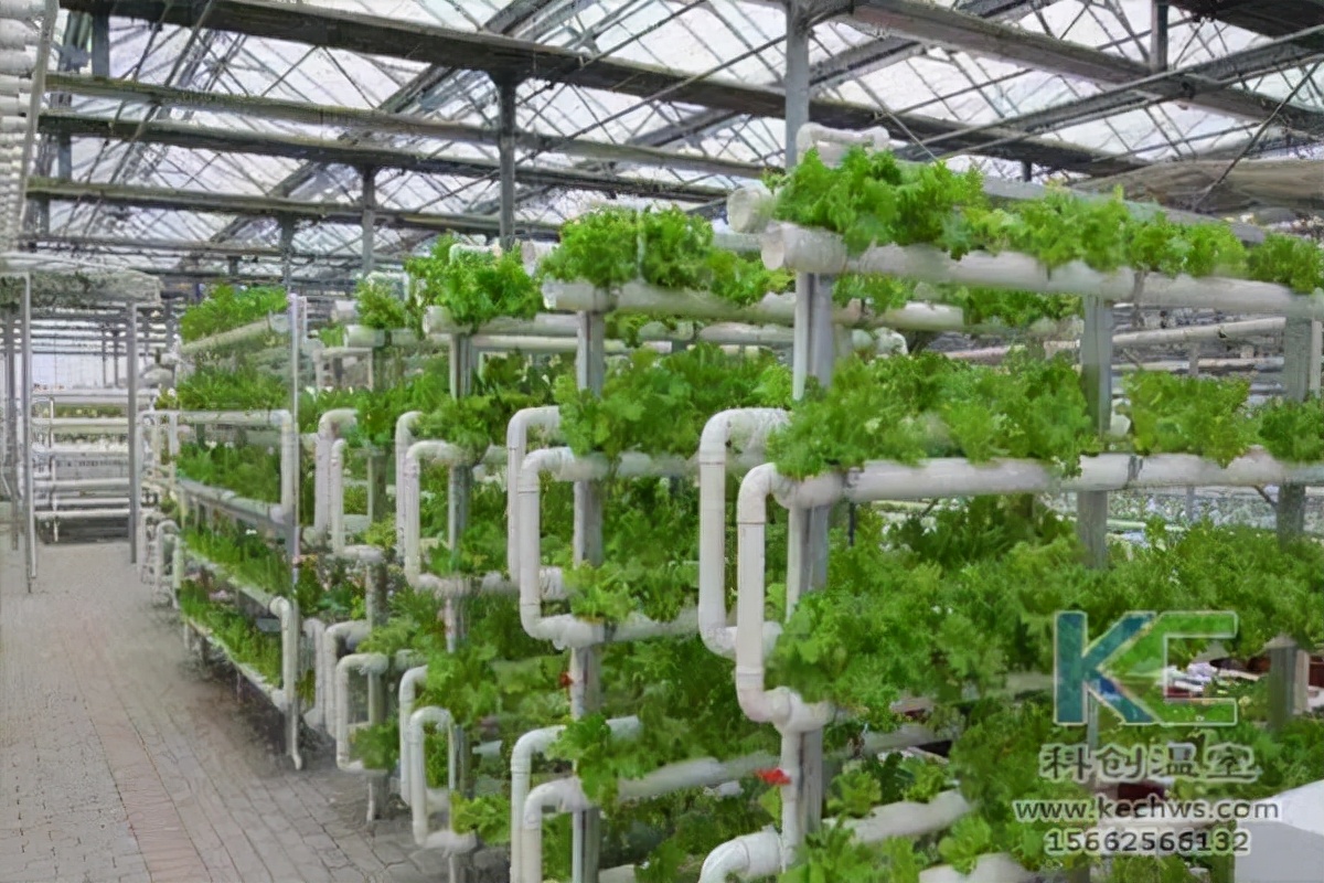 北京创新立体无土栽培,无土立体栽培育苗技术