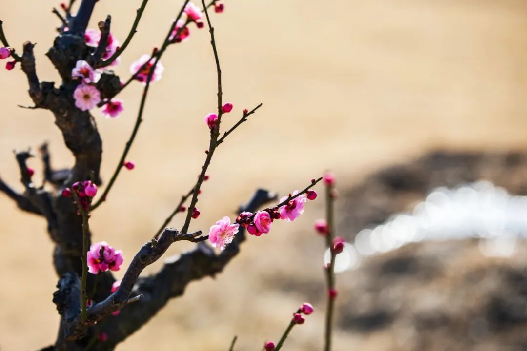 嘿好久不见剧本评测,嘿好久不见歌词