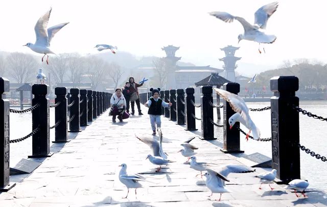 @所有人，三城年卡史上最低价！单人、亲子、家庭通通都有
