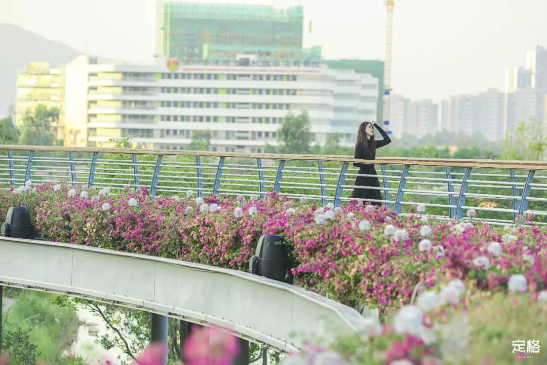 深圳免费好玩的滑梯推荐,深圳摩天滑梯