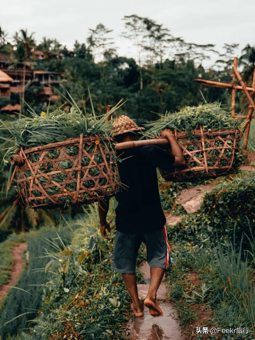 巴厘岛现在能落地签吗,中国对印尼开放落地签不
