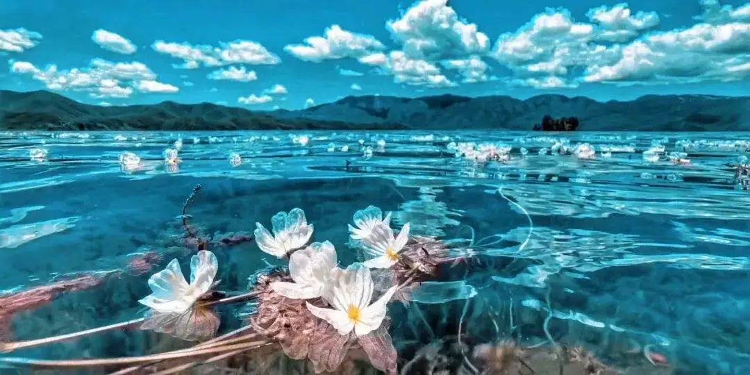 情侣旅行地方推荐 (情侣旅行推荐地)