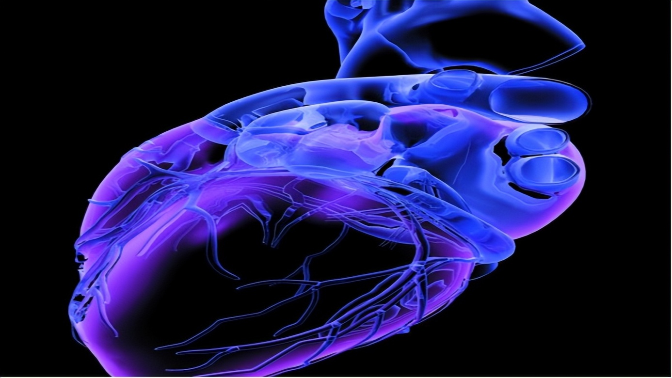 一饿就心慌手抖怎么办,突然饿的就心慌手抖是什么原因