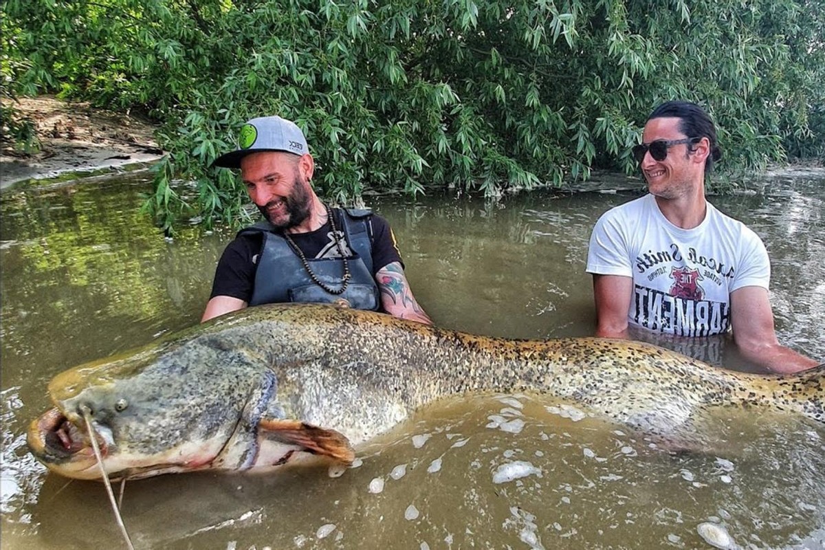 最容易有寄生虫的鱼,公认最脏的4种鱼