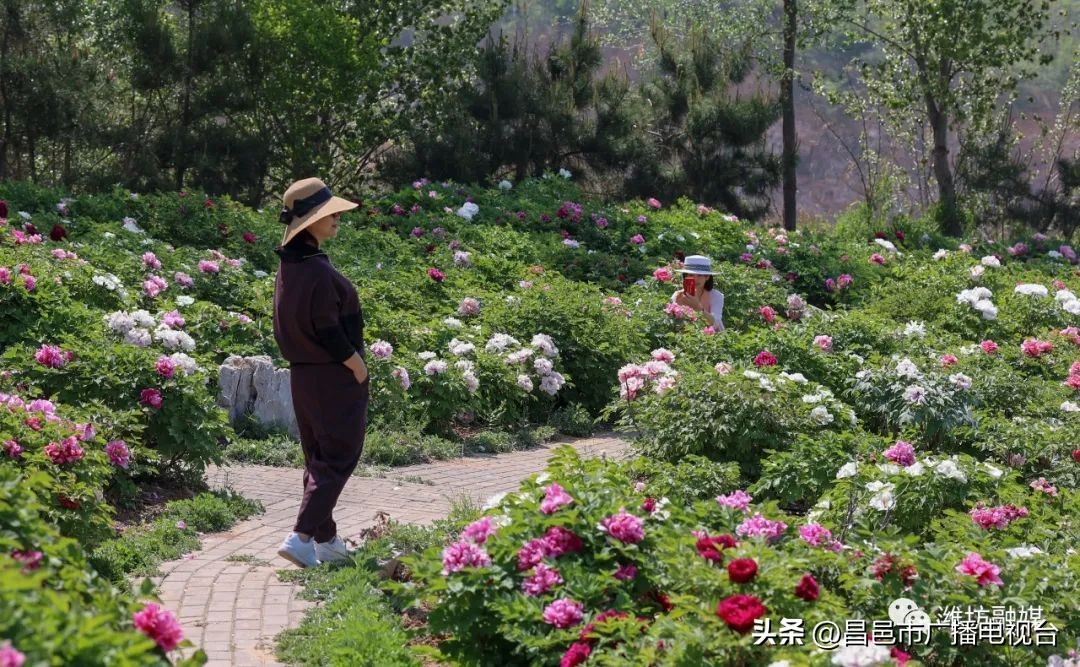 总要来趟潍坊昌邑吧！