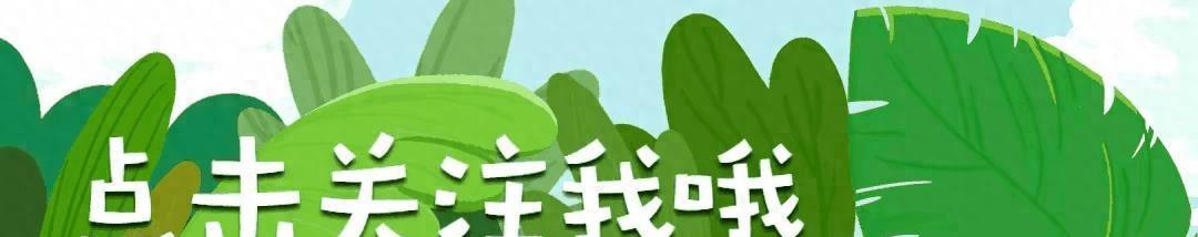 难民涌入云南德宏边境视频,德宏边境缅甸难民