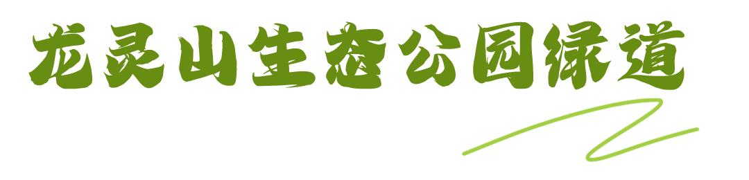 秋日暖阳骑行绿道,骑车绕城绿道值得打卡的推荐