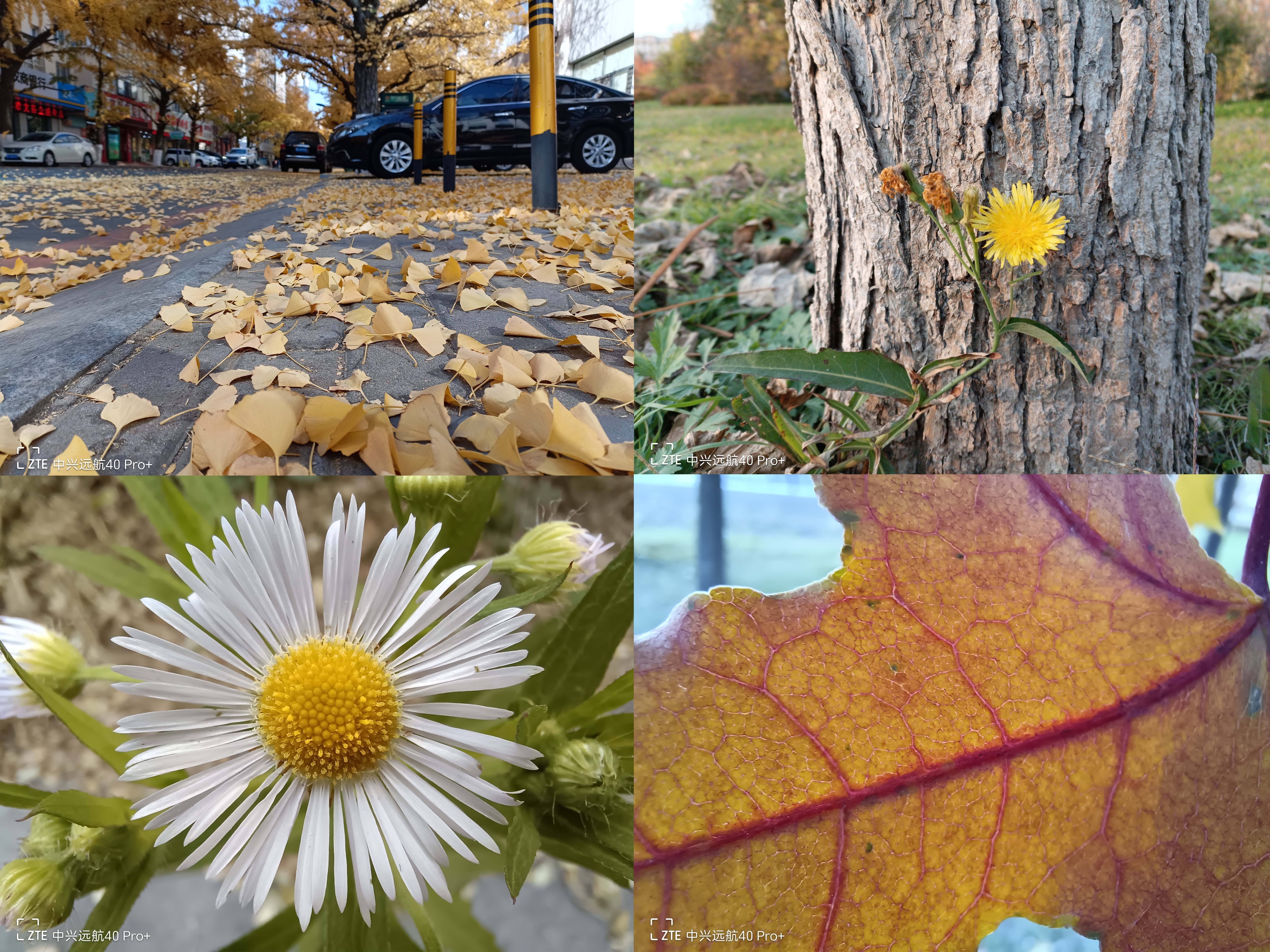 中兴远航40pro是什么系统,中兴远航40测评