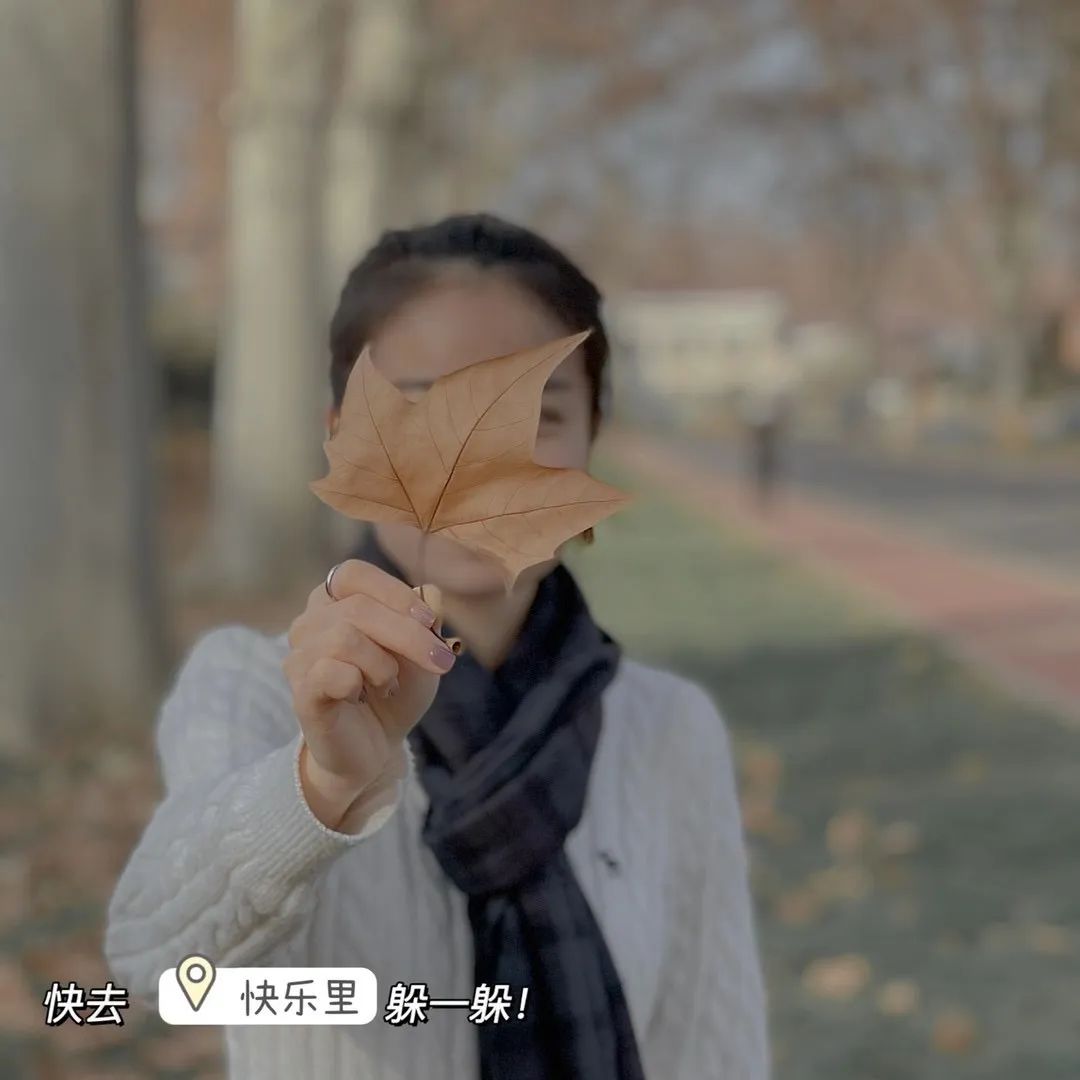 郑州哪个地方最适合春游,3月春游好去处郑州