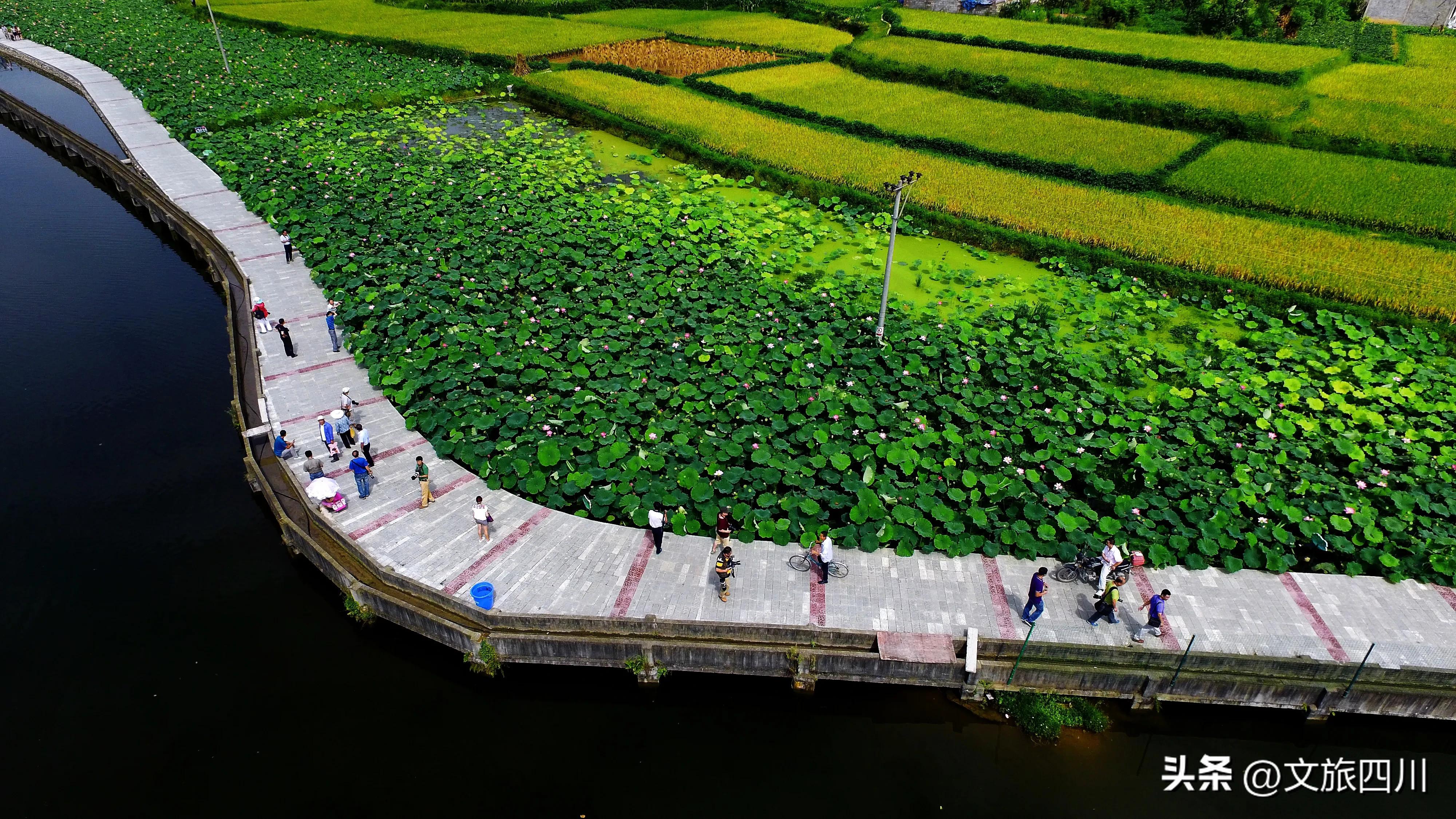 绵阳市游仙区乡村振兴战略规划,绵阳涪城乡村振兴新路径