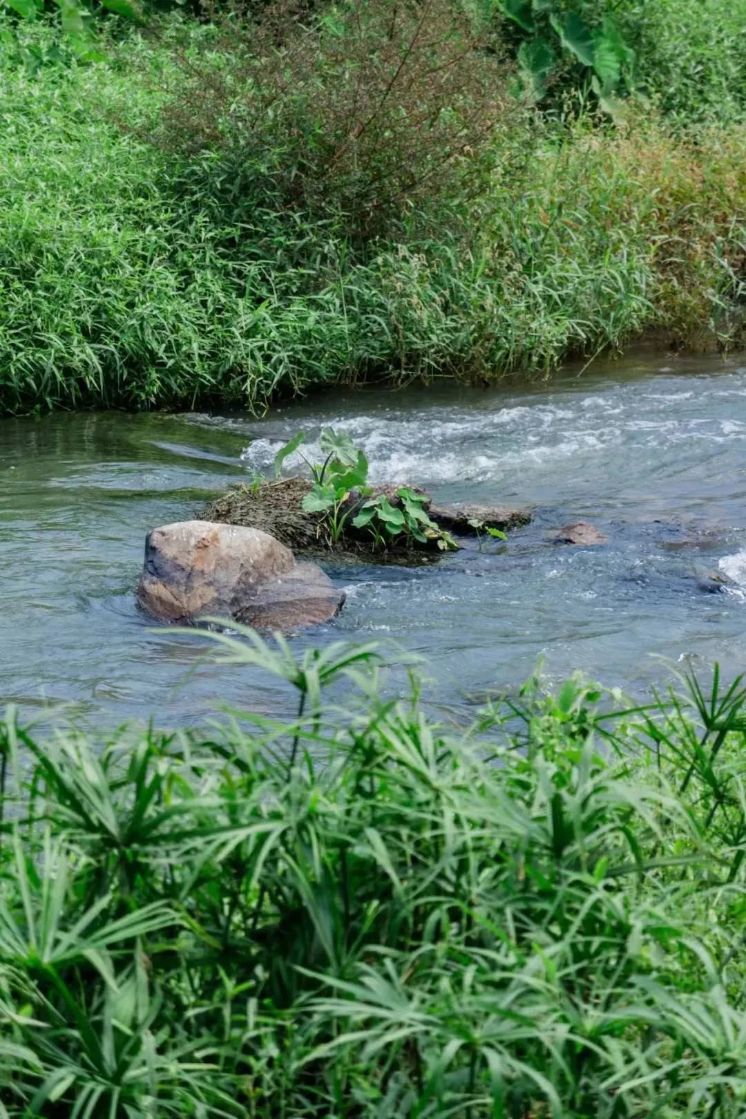 不用出国在深圳看到的美景,深圳有什么景点去看的不要钱的