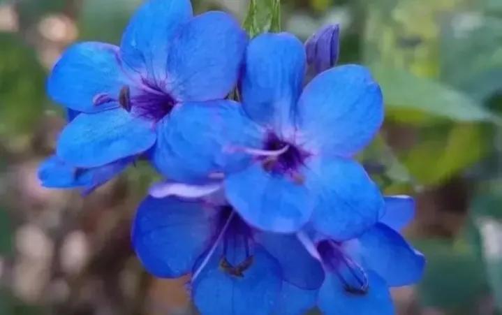 成功人士不轻易分享的自学秘诀,自学能力决定人生的高度和方法