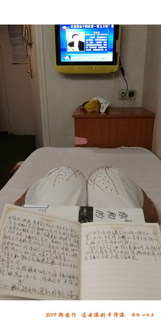 韩国行中国行,韩国行旅行团