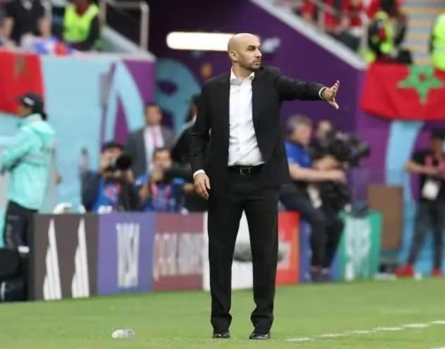 世界杯32强主帅,世界杯32强教练一览