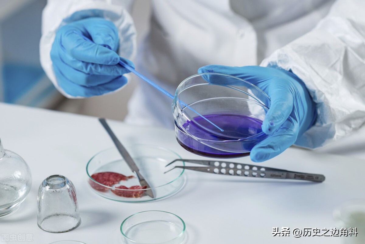 海克斯科技食品对我们生活的影响,揭秘古代食物造假手段