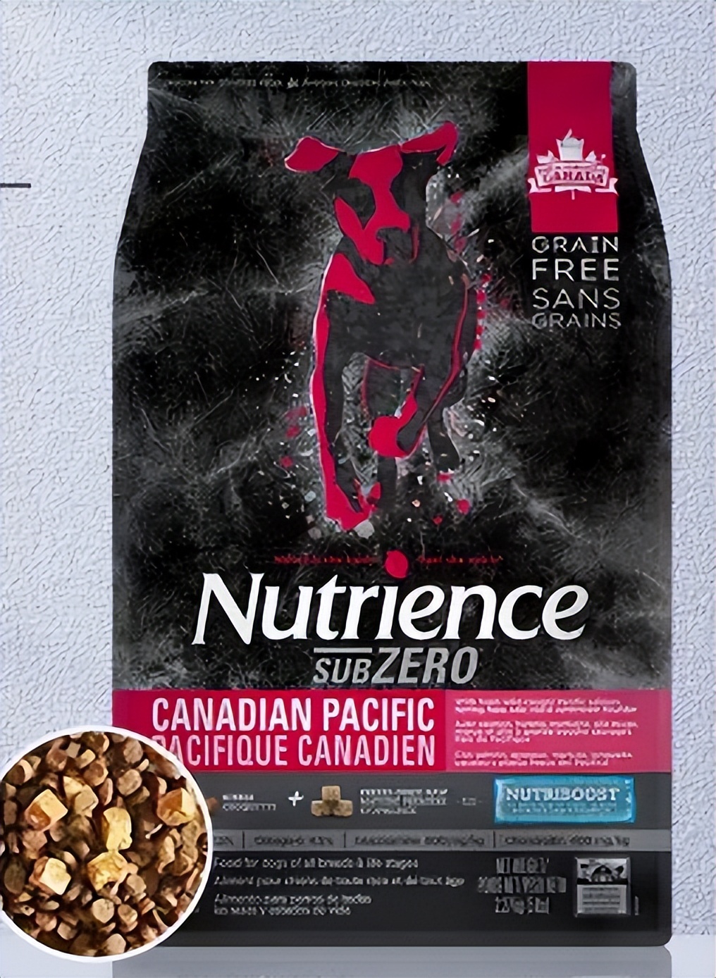 养狗推荐不贵的狗粮品牌,十大便宜又好养活的狗粮