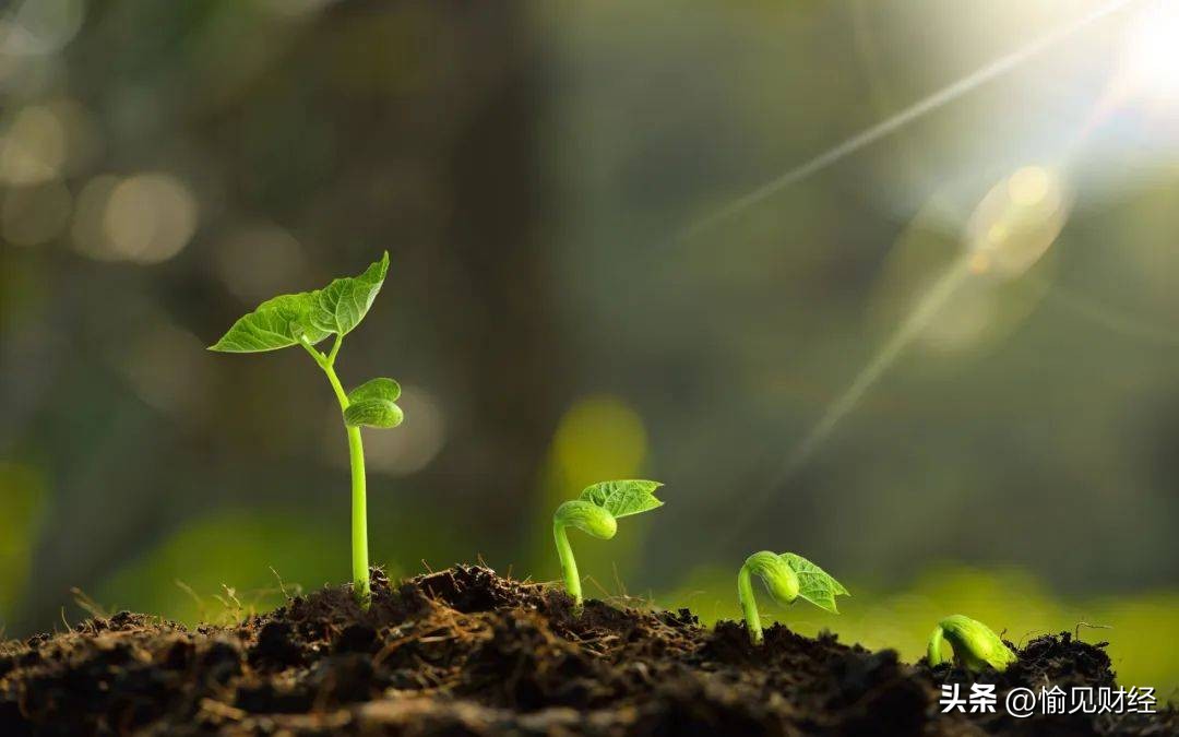 招行小微贷最新政策,商业银行如何做好普惠小微贷