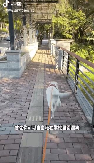 濂崇敓鍋氳揣鎷夋媺鍙告満,濂冲瀛愬仛鍙告満璺戣揣鎷夋媺