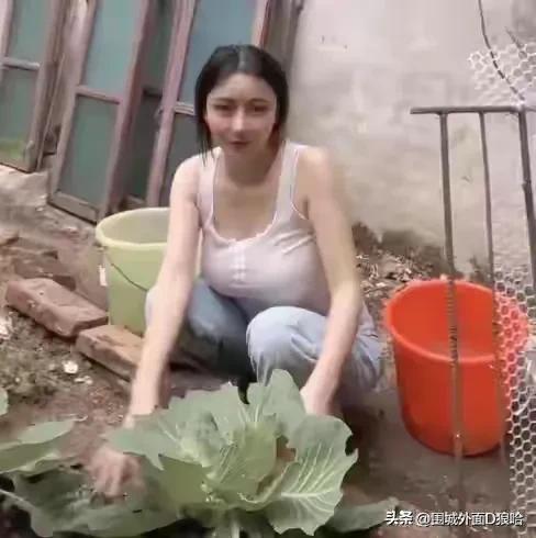 山野小斯小说完整版目录,山野小斯无弹窗免费阅读