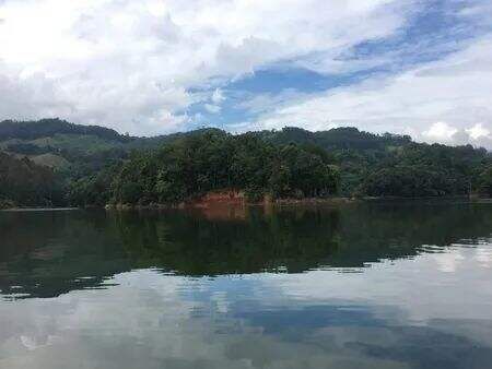 想做岛主怎么办,有想做桃花岛主的吗