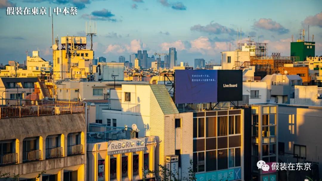 365张照片回顾,365张相片