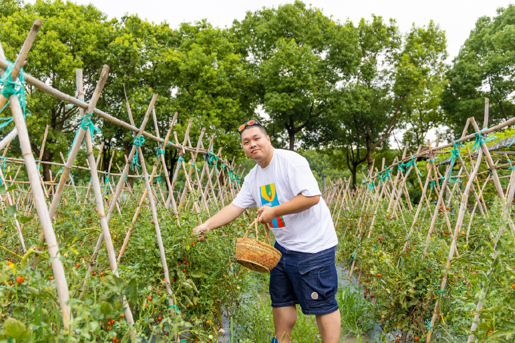 常熟沙家浜夏天游玩,沙家浜体验项目