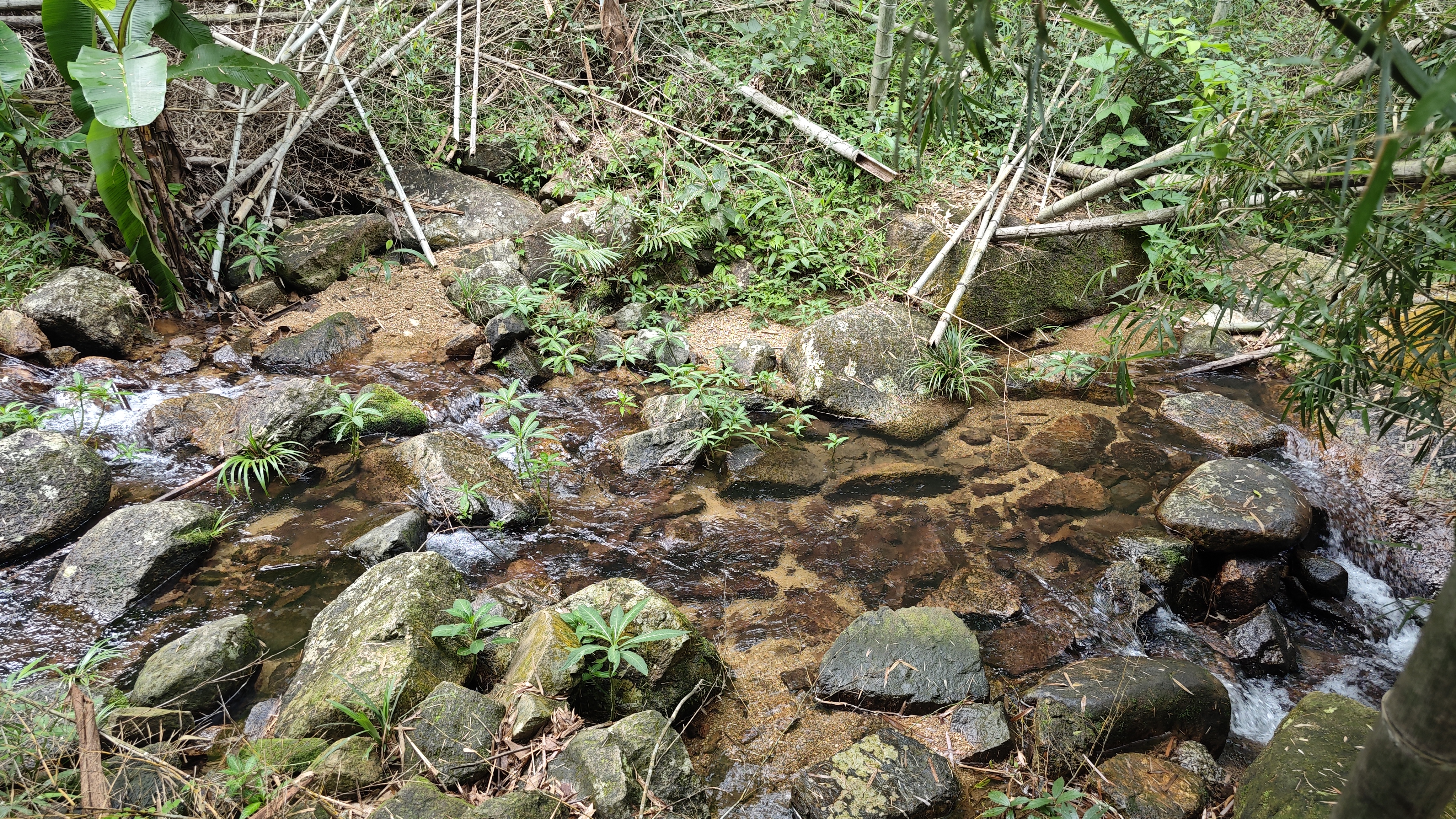 惠州夏日避暑胜地南昆山,惠州南昆山溯溪玩水的地方