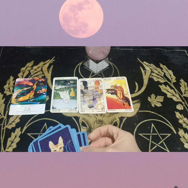 你心中放不下的那个人，断联冷战什么时候能联系？他心里还...