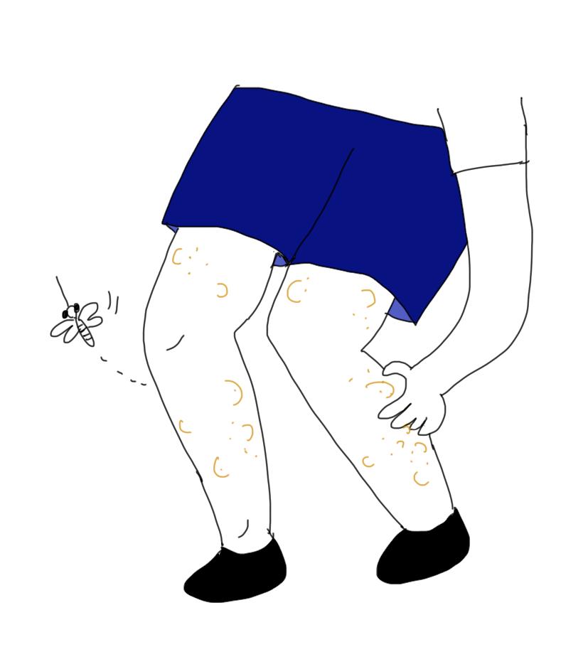 男生夏天穿什么长裤不热,女生在夏天为什么穿长裤不热