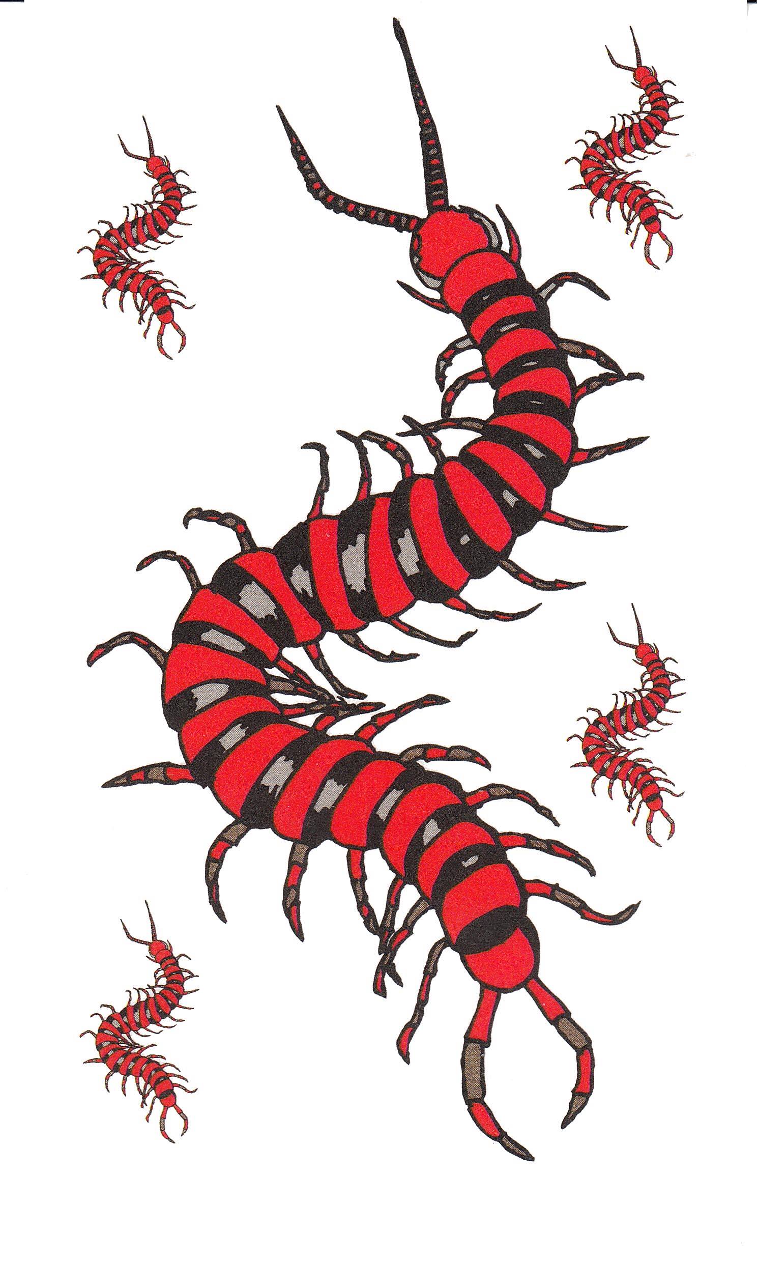 蛊婆、仙娘、草药师大对决，迷信还是本事？揭秘湘西“巫蛊之术”