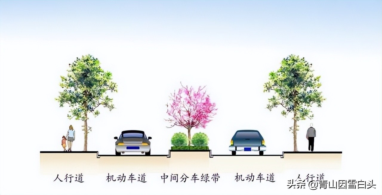种啥树一亩竟赚10多万,一亩地种60棵树的株距和行距