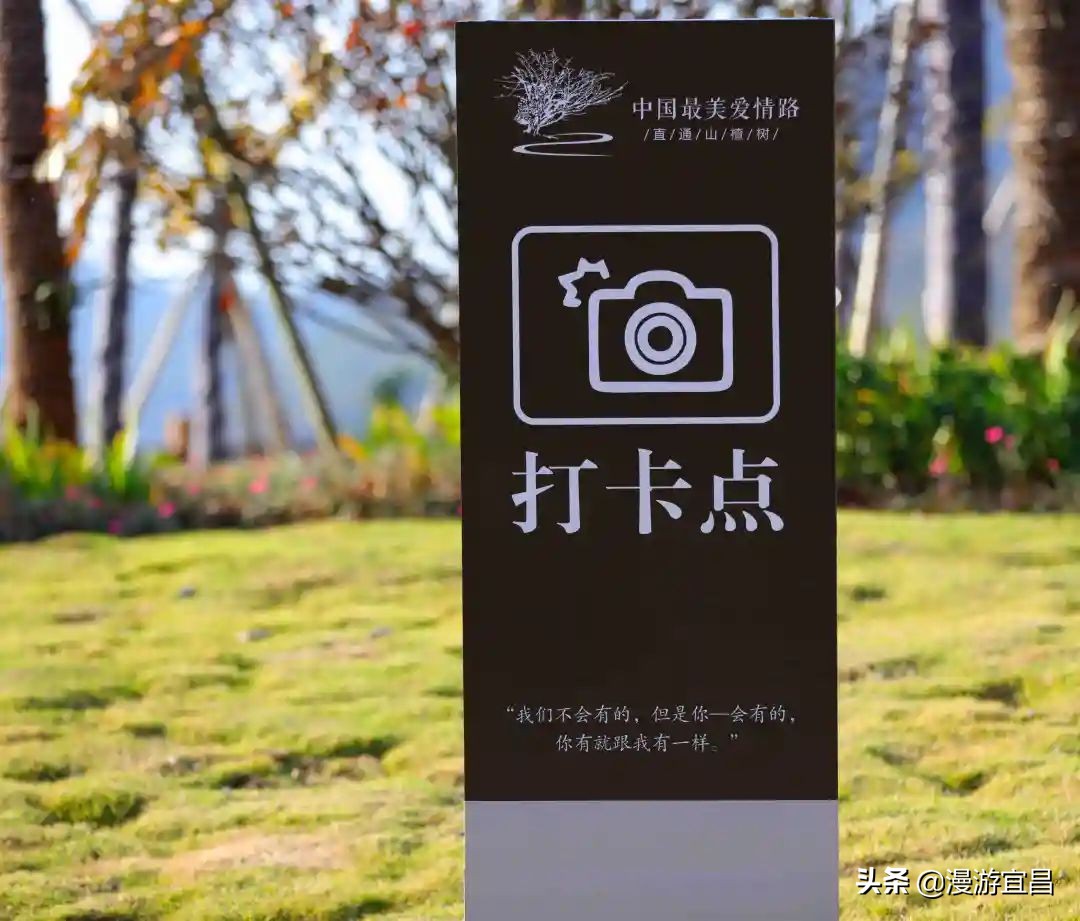 宜昌三峡最美公路景点,宜昌旅游攻略必去的景点百里荒