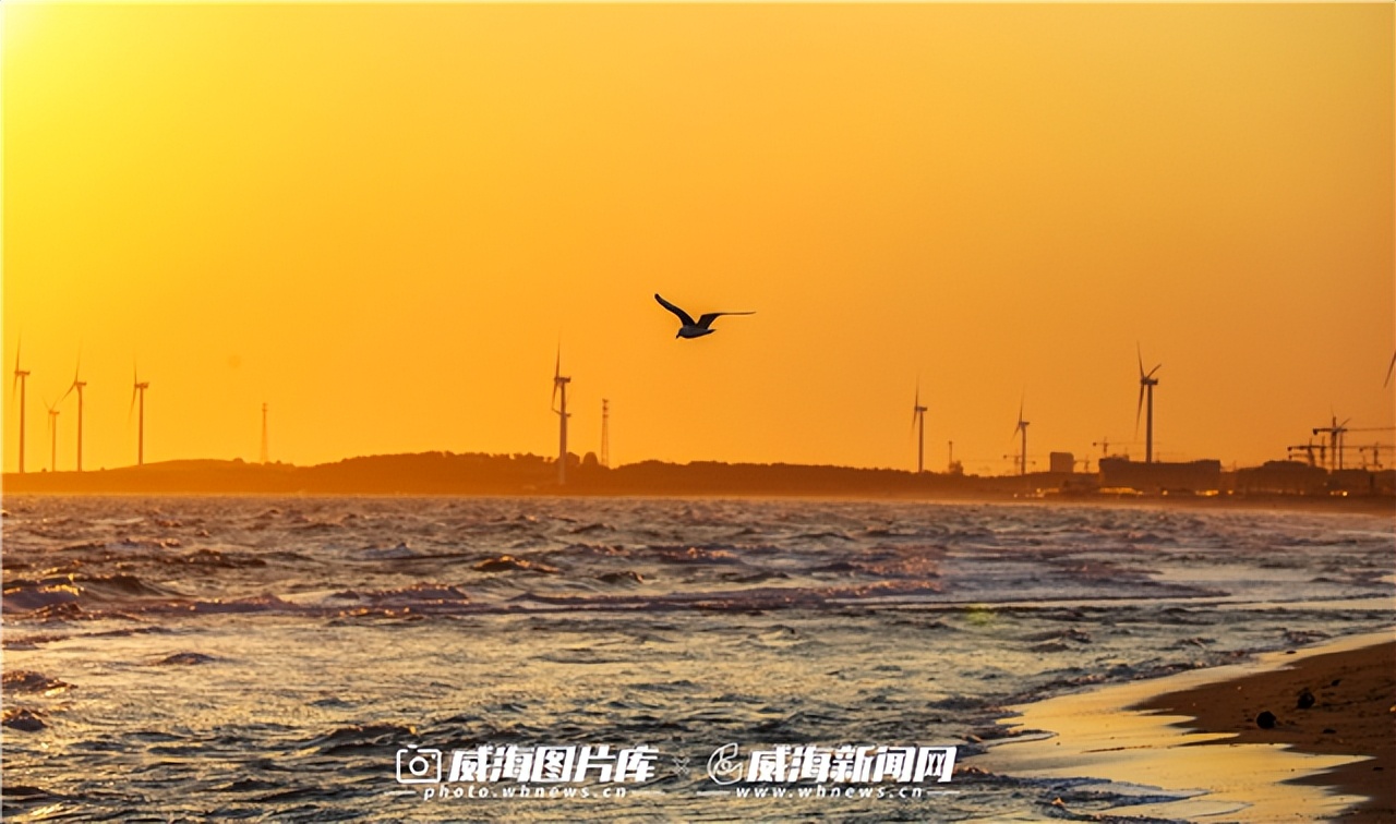 Hi，威海丨特种兵式旅游，这些打卡点推荐给你！