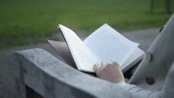 浼︽暒鏋楄偗骞垮満鏄豹瀹呭悧,鏋楄偗骞垮満妤肩洏