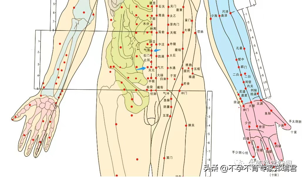 易孕体质一般都具有这五个特征,5招打造易瘦体质