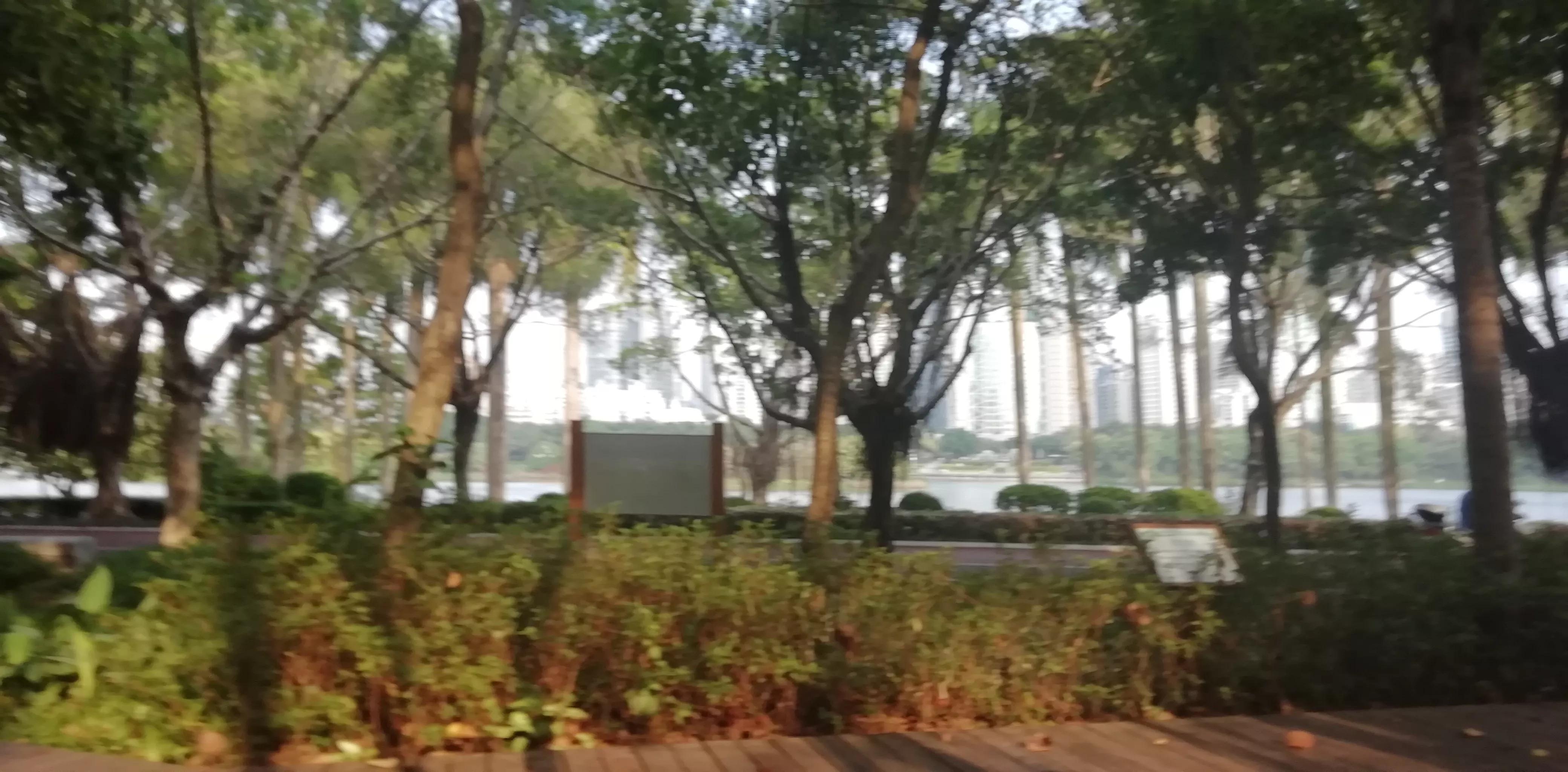 清明祭祖怎么改变运气,清明节祭祖改变运气