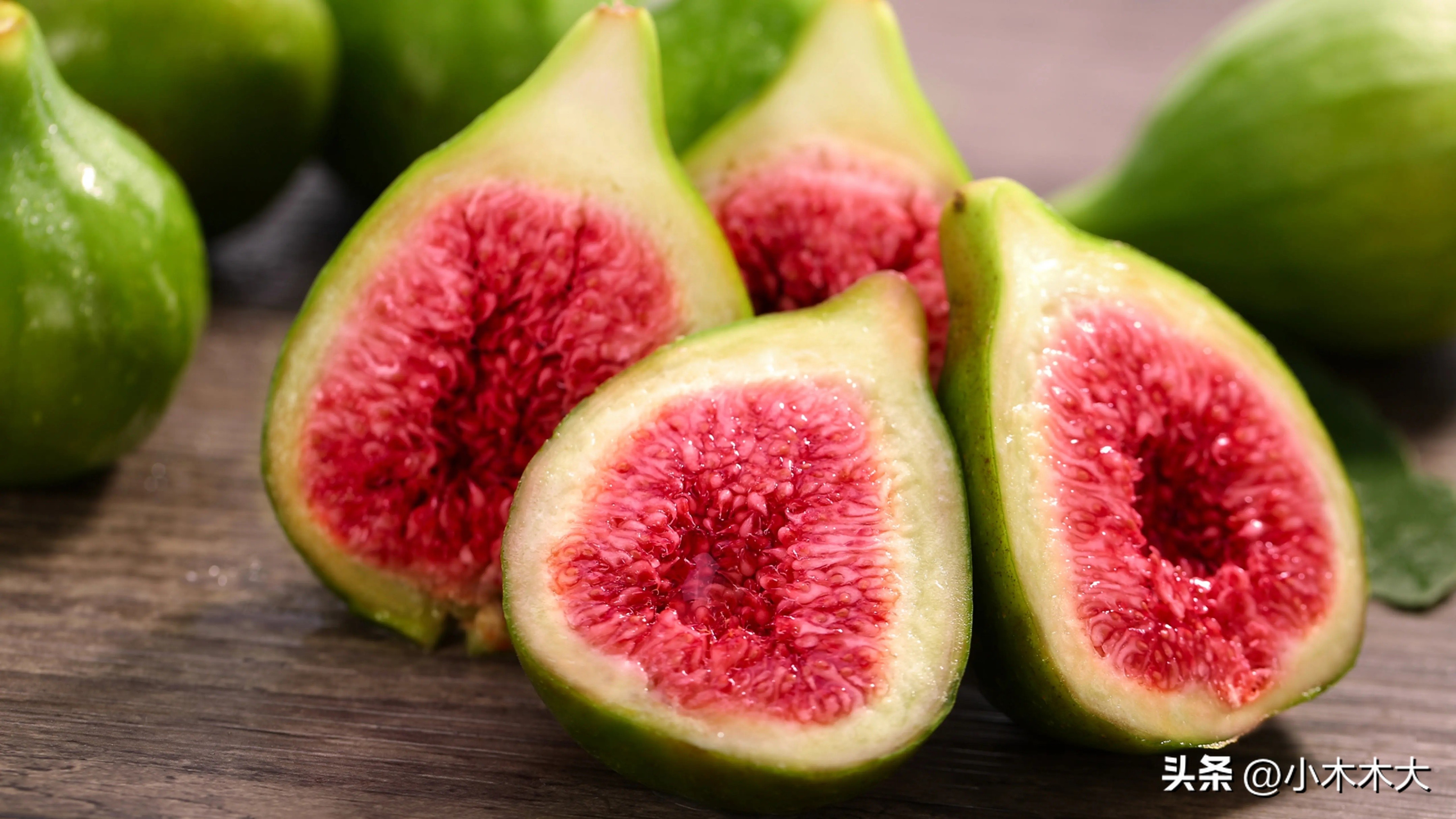 走进果实的世界我发现了什么,走进无花果的世界