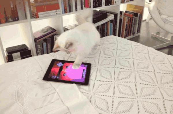 刘雯邓文迪,邓文迪杨紫琼